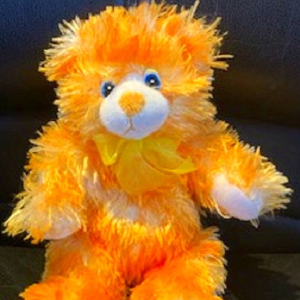 Golden Bear Rhode Island Novelty Stuffed Animal